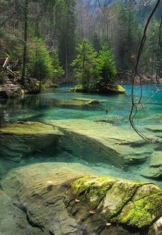 the water is very blue and green in the woods