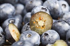 the blueberries have been cut in half and are ready to be picked from the tree