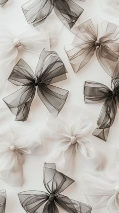 many black and white bows are on the wall