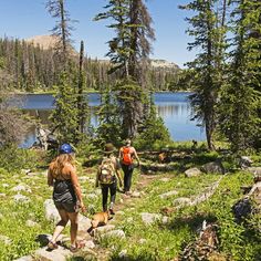 three hikers walking up a trail near a lake in the mountains with their dogs