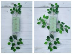 two pictures of green plants growing on the side of a white wooden wall with wire