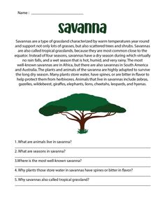 the savannah tree worksheet