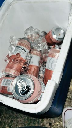 a cooler filled with lots of different types of cans