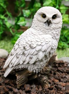 a white owl sitting on top of a pile of leaves