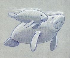 a drawing of two dolphins swimming in the ocean with their mouths open and eyes closed