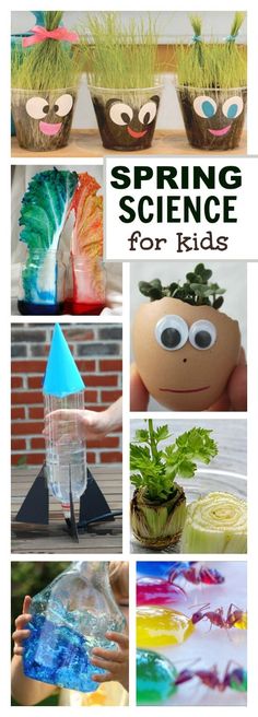 spring science activities for kids that are fun and easy