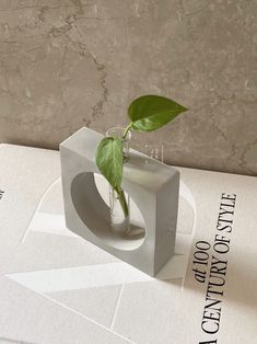 a plant in a glass vase sitting on top of a white box with an inscription underneath it