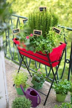 a balcony garden with potted plants on it