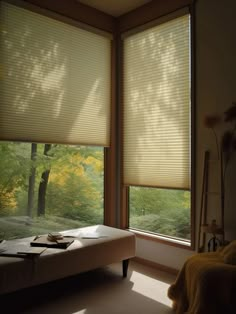 the bedroom has two windows with shades on them, and there is a bed in front of it