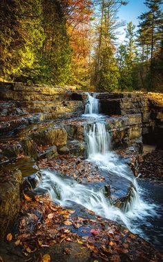 a small waterfall surrounded by trees and leaves