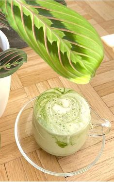 there is a green drink on the table next to a potted plant and a mug