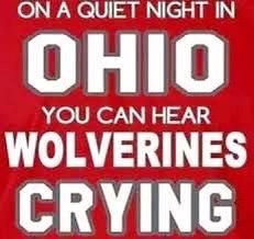 #GoBucks #ScrewBlue MT “@BPtashinski: #Buckeyes #BuckeyeNation @mzjdflynn @buckeyecaligal" Ohio Vs Michigan, Ohio Funny, Ohio State Michigan, Football Humor, Ohio State College