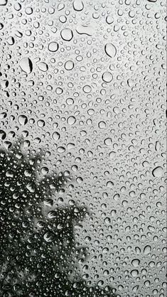 rain drops on the window with trees in the background