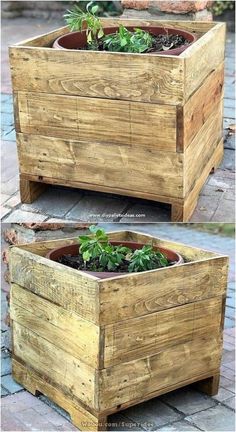 two wooden planters with plants growing in them