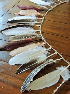 several different colored feathers on a string