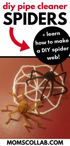 a spider made out of yarn with the words diy pipe cleaner spiders on it