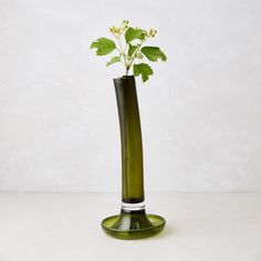 a green vase with a plant in it sitting on a table next to a white wall