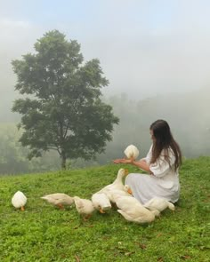 a woman feeding some white ducks on top of a green field