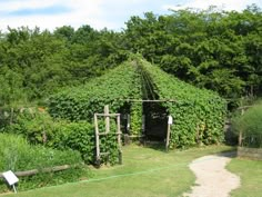 an old structure covered with vines in the middle of a field next to some trees