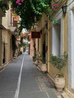 an alley way with potted plants and flowers on either side, surrounded by buildings