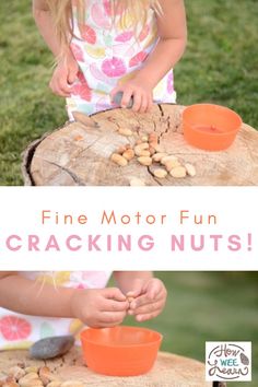 Fine motor activities can be so natural and very easy. This activity is both of those things - have little ones crack some nuts! Cracking the hard shell is excellent for strengthening little hand muscles as well as improving hand eye coordination and finger dexterity as well! Finger Strengthening Activities For Kids, Clever Fingers Activities, Fine Motor Finger Exercises, Nuts And Bolts Fine Motor Activity, Pencil Grasp Activities, Helping Hands Fine Motor Tool Set, Preschool Fine Motor Activities, Quiet Time Activities, Fine Motor Skills Development