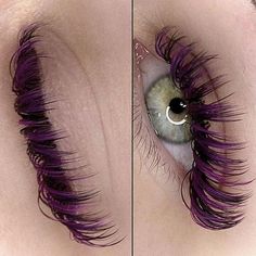 Purple Eyelash Extensions, Purple Lash Extensions, Black Lash Extensions, Color Lash Extensions, Purple Lashes, Blue Lashes, Lashes Fake Eyelashes, Wispy Eyelashes, Eyelash Technician