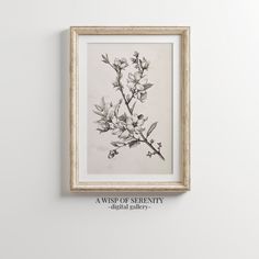 a black and white photo hanging on the wall next to a wooden frame with a plant in it