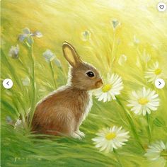 a painting of a rabbit sitting in the grass with daisies