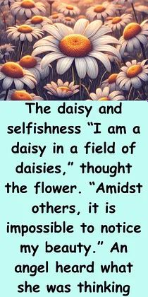 a poem with daisies in the background