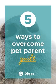 a dog's paw with the words 5 ways to overcome pet parent guilt