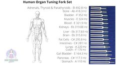 Tunning Forks, Chakra Workshop, Raising Vibration