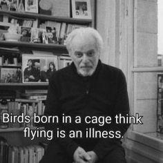 an old man sitting in front of a bookshelf with a quote about birds born in a cage think flying is an illusion