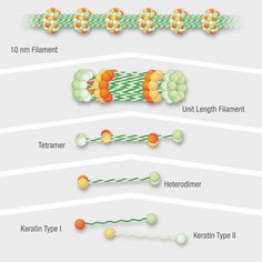 the different types of filament and their uses in science experiments, including an experiment with