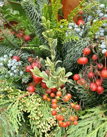 evergreen, berries and other plants are arranged together