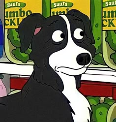 a black and white dog sitting in front of a store shelf