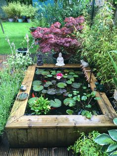 a small pond in the middle of a garden filled with water lilies and other plants