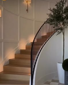 there is a potted plant next to the stairs in this house with white walls