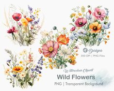 wild flowers watercolor clipart png and transparent background for use in commercial projects