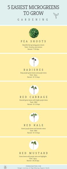 five different types of plants that can be used to grow