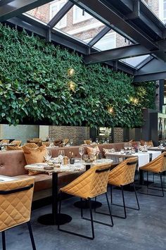 an indoor dining area with tables, chairs and plants on the wall behind it in a restaurant