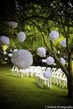 white chairs and paper lanterns are lined up on the grass in front of a tree