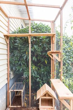 an outdoor chicken coop made out of wood and wire with plants growing in the background