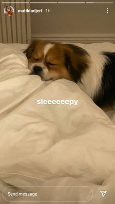 a dog sleeping on top of a bed covered in white sheets with the caption sleepy