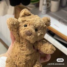 a person holding a brown teddy bear in their hand with other items on the table behind them