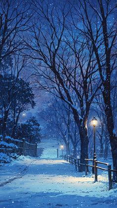 a snowy night in the park with street lights and trees on either side of it