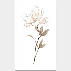 a white flower on a white background