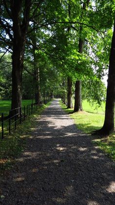 a dirt road surrounded by trees and grass