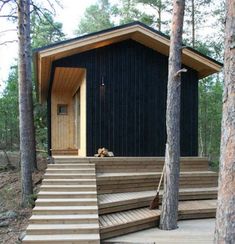 a little boy standing on a wooden deck in front of a small cabin with steps leading up to it