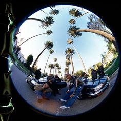 a group of people sitting on top of a car next to palm trees