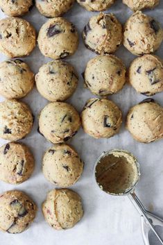 chocolate chip muffins are lined up on a sheet of parchment paper next to a cookie scoop